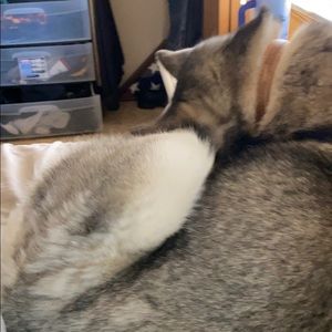 Meet your Posher, Vanessa